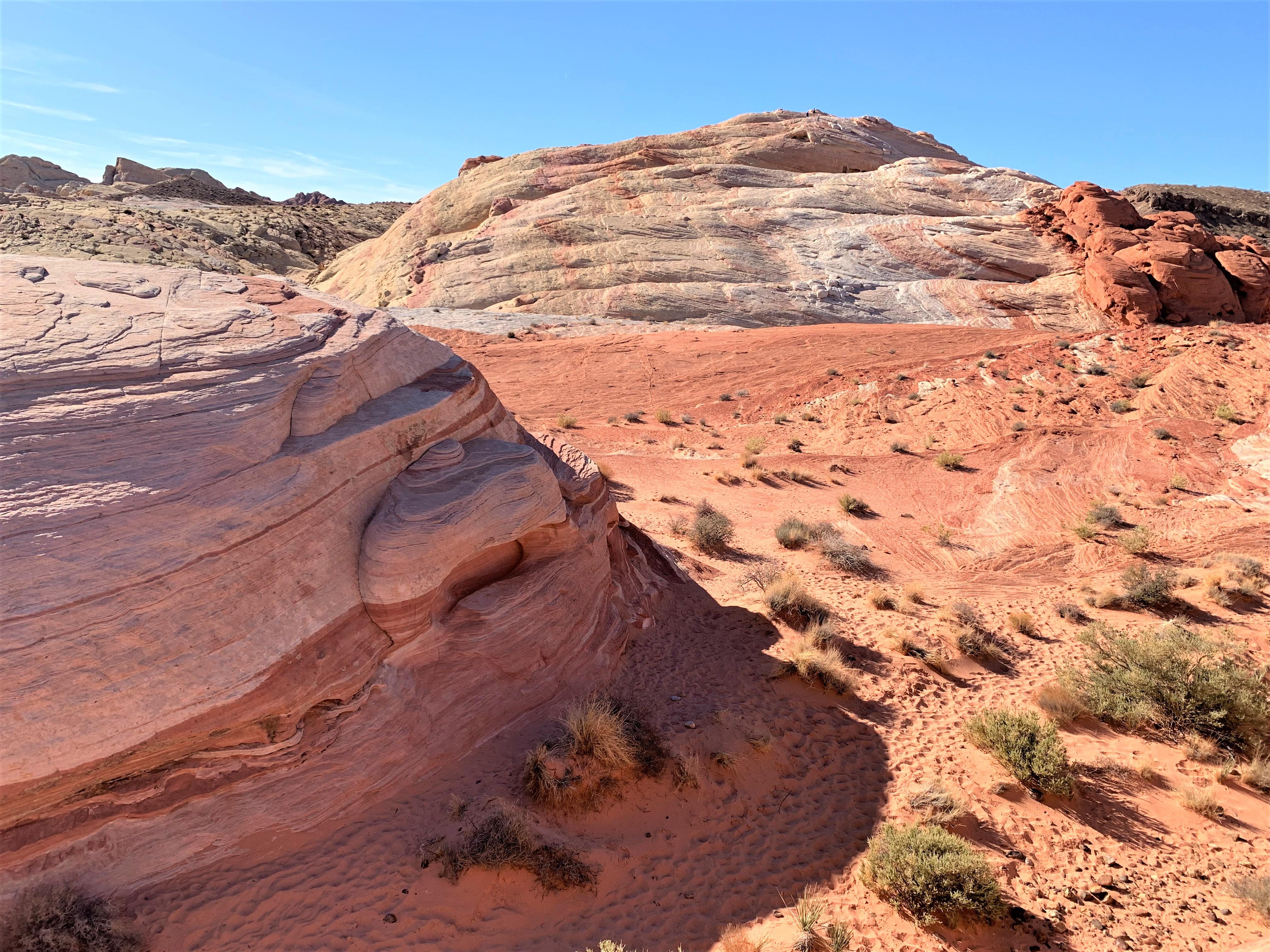 Nevada